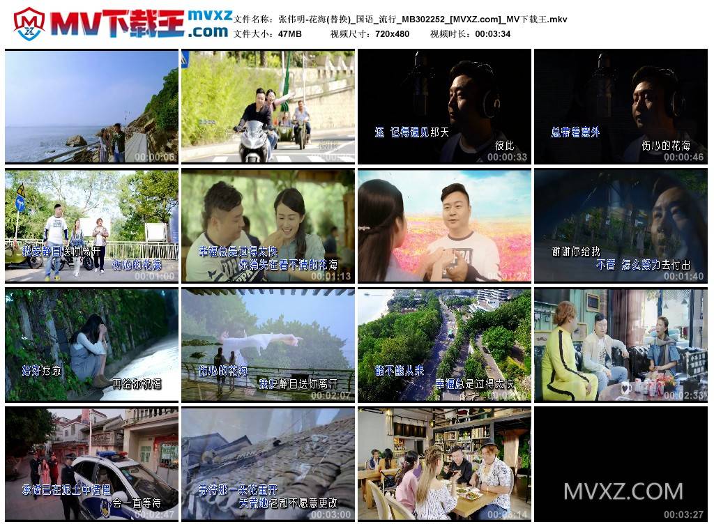 张伟明-花海(替换)_国语_流行_MB302252